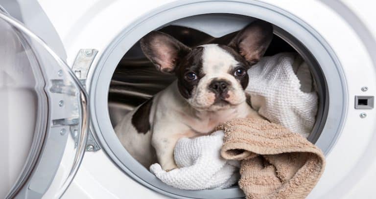 Best Washer Dryers for Tiny House Living